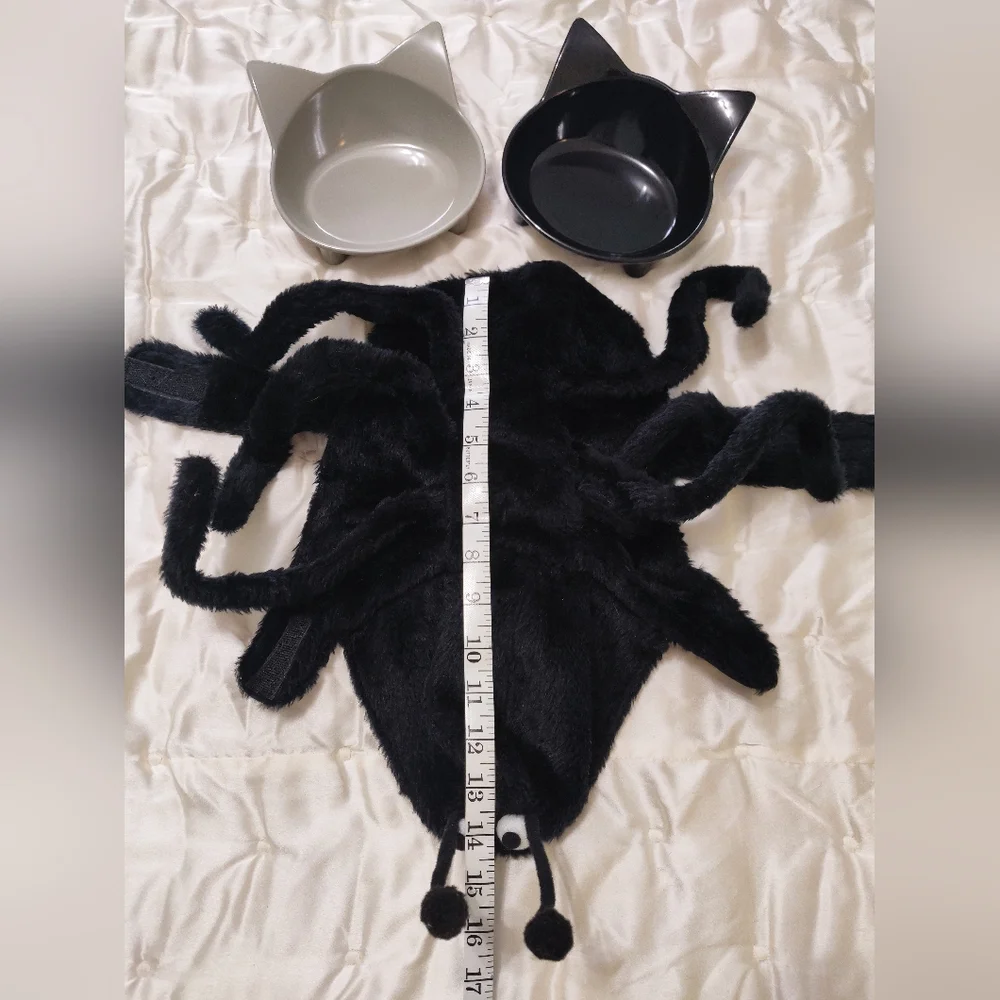 Kitty Spider Costume.